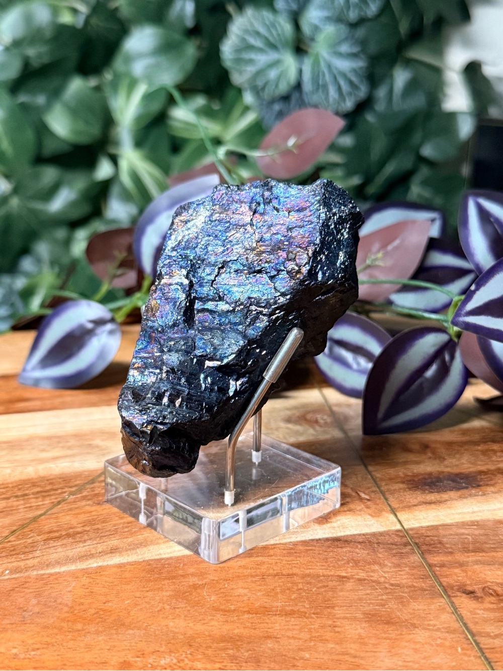 Peacock Coal